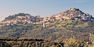 Mezzi di Trasporto a Guidonia Montecelio